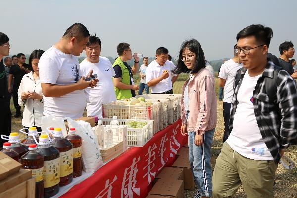 安丘在线人才招聘信息网