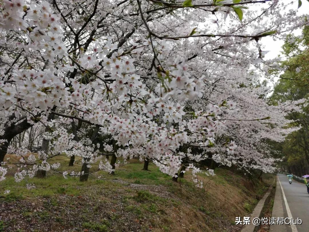安顺疯狂英语培训班电话